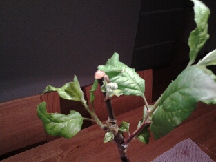 20150326_2308055.jpg