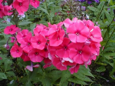 08.21.2013.jpg_51.JPG
