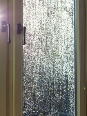 Aprilfenster_fars_2015.jpg