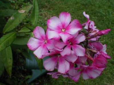 08.26.2013.jpg_87.JPG