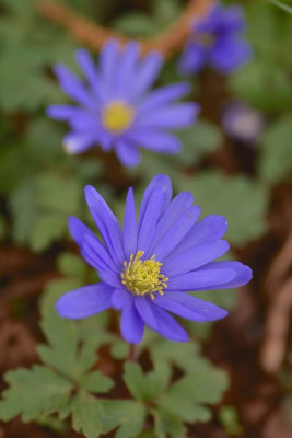 DSC_1697.jpg