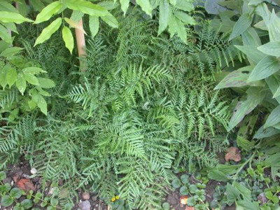 S_5813_78.jpg