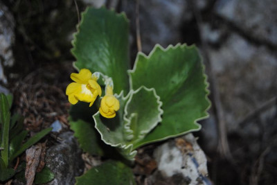 k-april_114.jpg