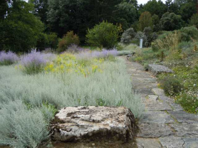 Botanischer_Garten_Wu_August_kkkkkkkk.JPG