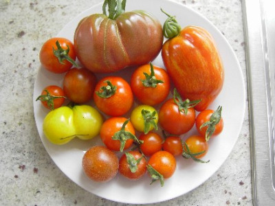 Web_Tomatenmix_03.jpg