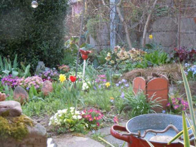 110415_fruhlingsbluher_025.JPG