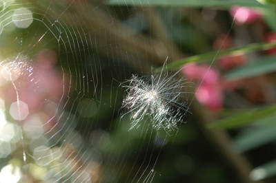 imnetz_12951.jpg