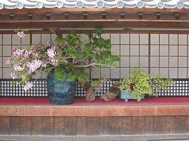 ikebana_1.jpg