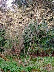 P4130437.jpg