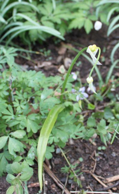 tg_150418_1.jpg