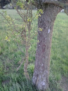 20150423_19584311y.jpg
