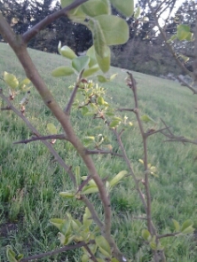 20150423_19585521x.jpg