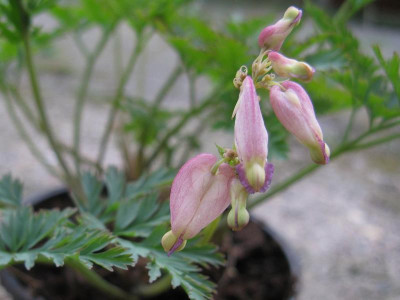 No_10_02_1024x768.jpg