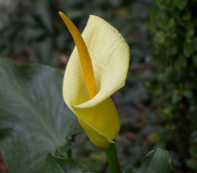 K800_27.04_81.JPG