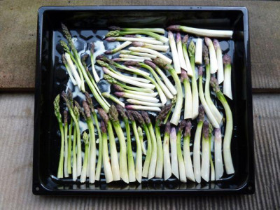ernte_150428.jpg