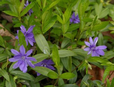 K800_27.04_51.JPG