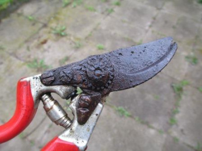 Felco_3983.jpg