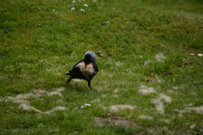 DSC_5786.jpg