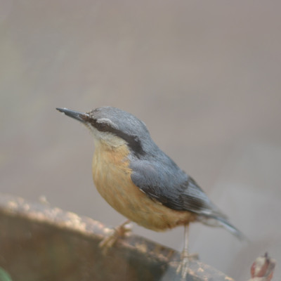 DSC_3056_Kopie.jpg