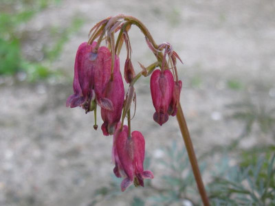 No_2_03_1024x768.jpg