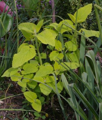 K800_040.JPG