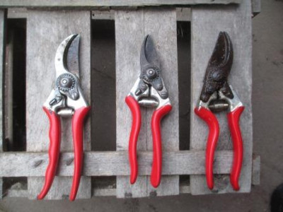 Felco_3993.JPG