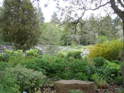 Boga_Wu_050514_002.JPG