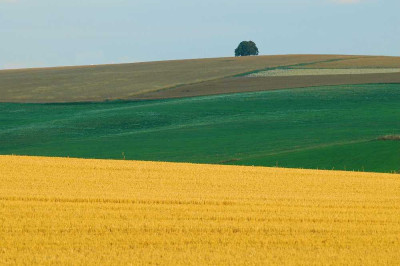 Eifelana_03-08-05.jpg