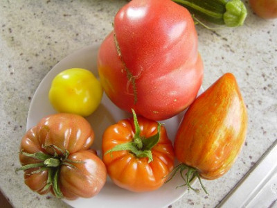 Web_Tomatenmix_04.jpg