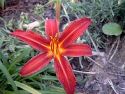 SIMG8682.JPG
