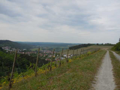 Weinfranken_Durre_im_Mai_150515_016.JPG