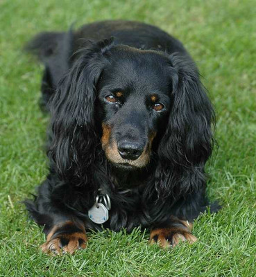 Gero_April_2005.jpg