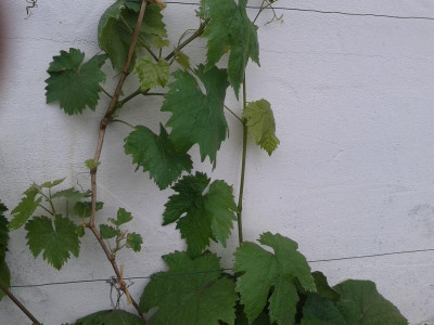 20150519_160736.jpg