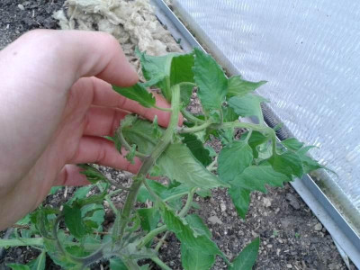 20150519_155635.jpg