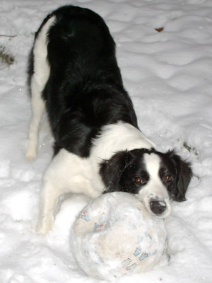 beska_im_schnee3_05_010.jpg