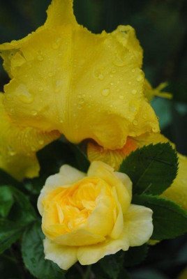k-mai15_040.jpg