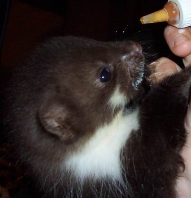 baby1.jpg