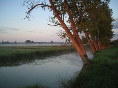 Morgen_am_Federseekanal.jpg