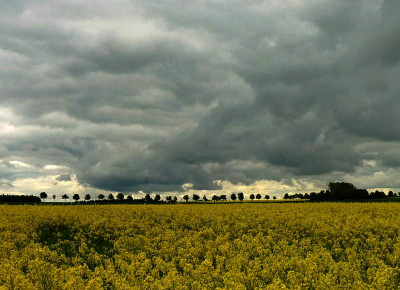26.5._rapsfeld.jpg