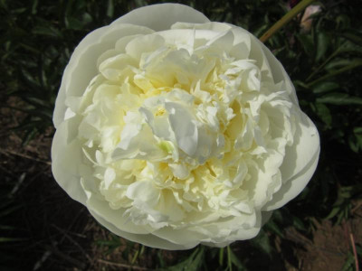 Lac_Duchesse.jpg