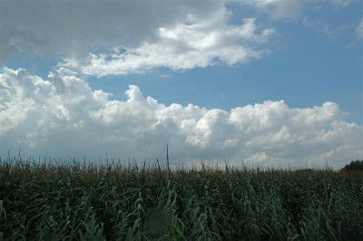 2005B395a_Medium.jpg