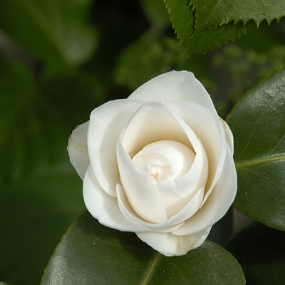 janetwaterhouse1_4248.jpg