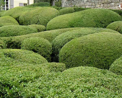 marqueyssac.jpg