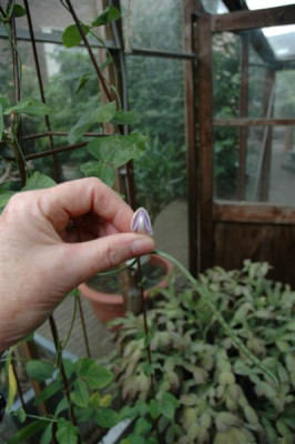 DSC_0005_Medium.JPG