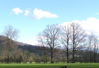 landschaft.jpg