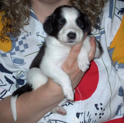 Beska-Baby.JPG
