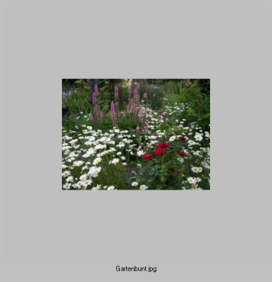 Garten_bunt.jpg