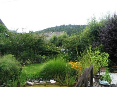Hecke_auf_Wall_02.JPG