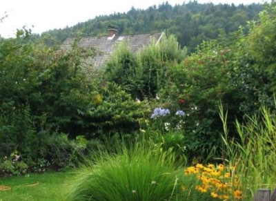 Hecke_auf_Wall_Detail.JPG