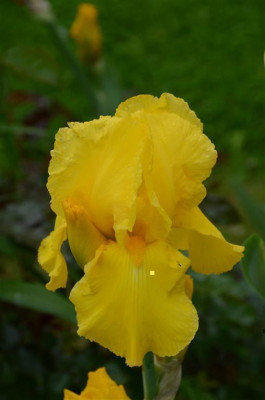 D2008 (Medium).jpg